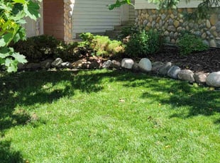 Misty K.'s grass maintenance service result