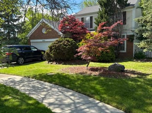 Austin D.'s lawn care service result