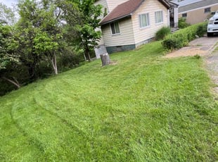 Vida S.'s turf maintenance service result