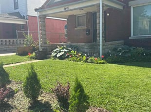 Jerome H.'s lawn care services service result