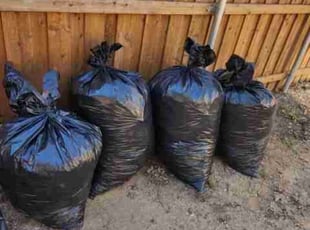 Raette H.'s Leaf Removal service result