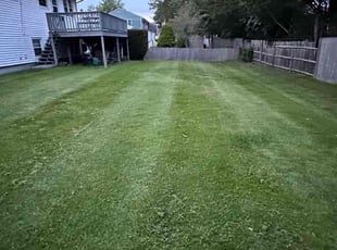 David B.'s turf maintenance service result