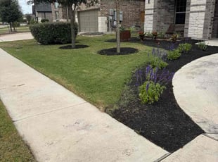 John W.'s turf care service result