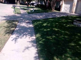 Kimberli N.'s lawn service service result
