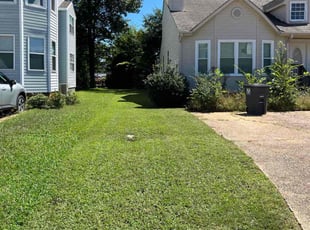 Diana L.'s lawn care service result