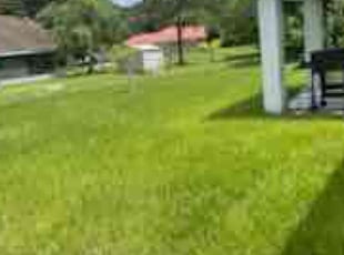 Rebecca W.'s turf maintenance service result