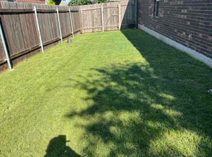 Nikola J.'s lawn maintenance service result