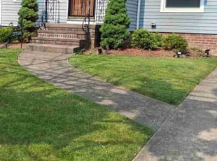 Karin A.'s lawn care service result