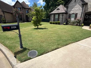 Sharon H.'s turf maintenance service result