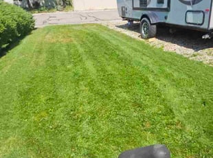 Meredith M.'s turf care service result
