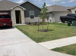 Jeannie W.'s turf care service result