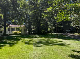 Angela M.'s grass cutting service result