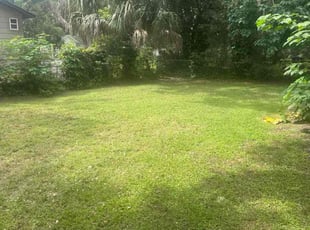 Kyle E.'s turf care service result