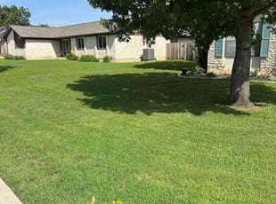 Rachel T.'s grass maintenance service result
