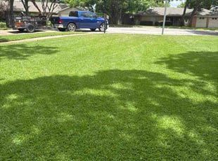Josh B.'s turf care service result