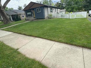 Sandra L.'s turf maintenance service result