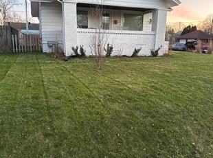 Cheryl C.'s turf maintenance service result