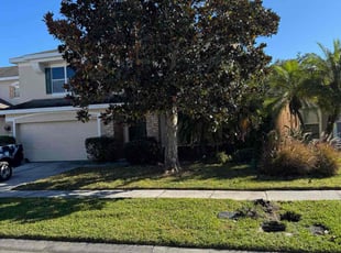 Shannon S.'s grass cutting service result