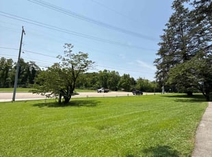 Patrice A.'s turf maintenance service result
