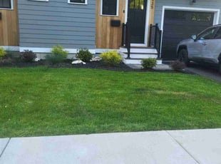 Shalyn P.'s lawn service service result