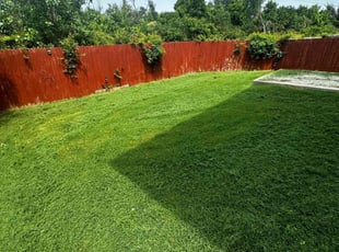 Melissa D.'s turf care service result