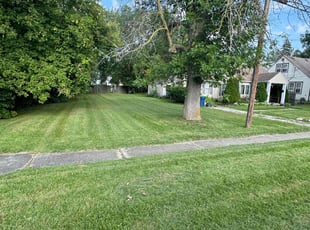 Duanjae P.'s grass maintenance service result