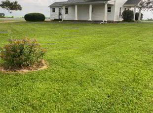 Kaitlyn N.'s lawn maintenance service result