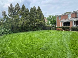 Peggy D.'s grass cutting service result