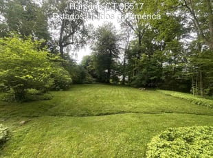 Laura G.'s lawn service service result