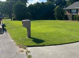 Ross M.'s turf maintenance service result