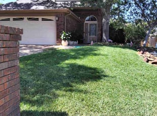 Brit H.'s grass cutting service result