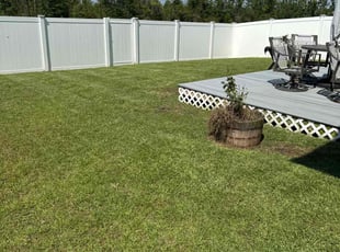 Mike R.'s lawn care service result