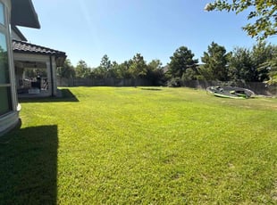 Darci K.'s lawn maintenance service result