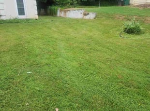 Zach S.'s lawn maintenance service result