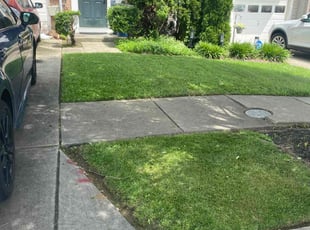 Shamare F.'s grass cutting service result