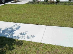 Addie G.'s grass maintenance service result