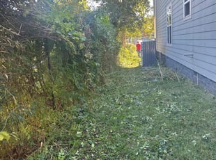 Mary S.'s Bush Trimming service result