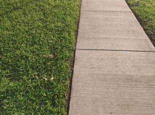 Steve F.'s grass cutting service result