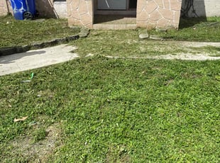Lili S.'s turf care service result