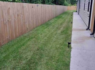 Mohammed Q.'s grass maintenance service result