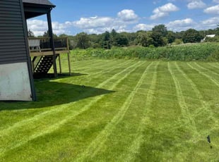 Nathan W.'s lawn care service result