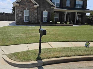 Idalia C.'s grass cutting service result