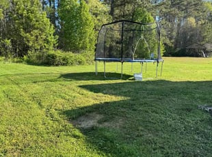 Reggie S.'s grass maintenance service result