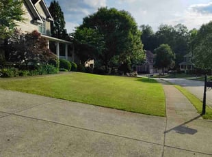 Tammy H.'s lawn care services service result