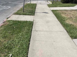 Melissa C.'s grass cutting service result