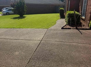 Dewone G.'s turf maintenance service result