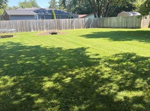 Liz R.'s grass cutting service result