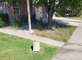 Steve Y.'s lawn service service result