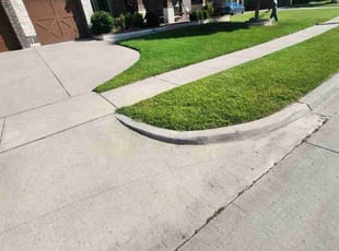 Yanet C.'s lawn maintenance service result