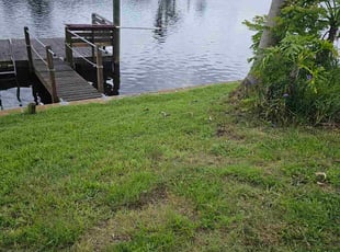 Ke Y.'s lawn service service result